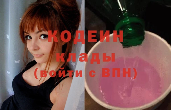 стаф Каменногорск