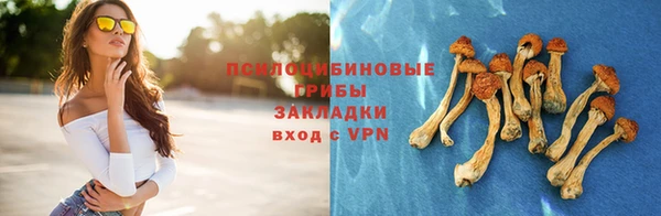 молекула духа Каменка