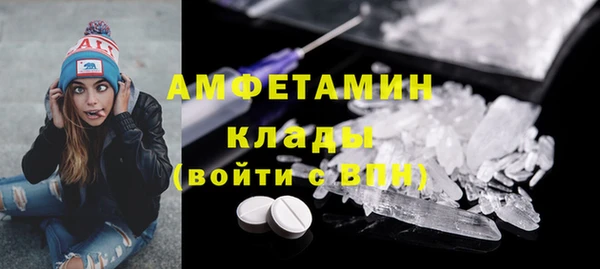 молекула духа Каменка