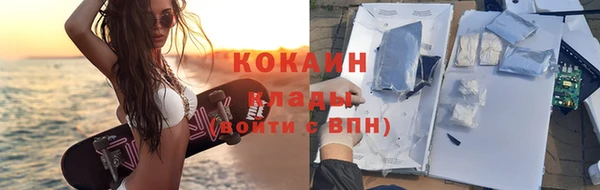 молекула духа Каменка