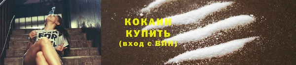 молекула духа Каменка
