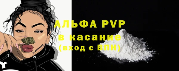 стаф Каменск-Шахтинский