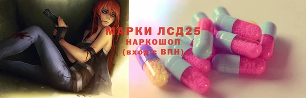 стаф Каменск-Шахтинский