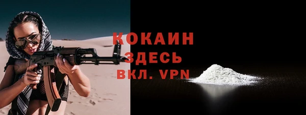 стаф Каменск-Шахтинский