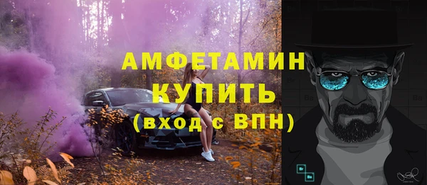 стаф Каменногорск