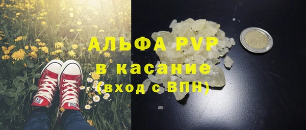 стаф Каменск-Шахтинский