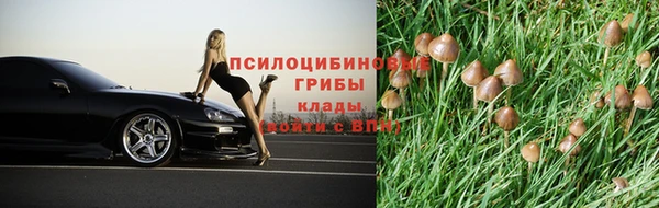 стаф Каменск-Шахтинский
