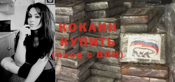 стаф Каменск-Шахтинский