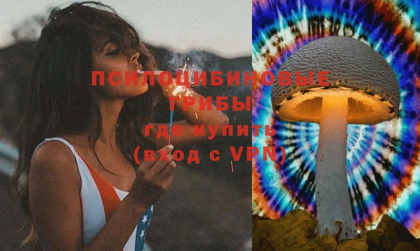стаф Каменногорск