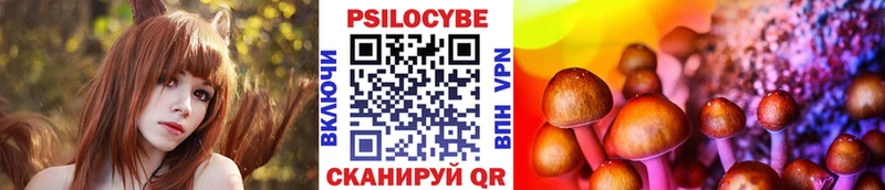 Псилоцибиновые грибы Cubensis  Купить закладки  Искитим 